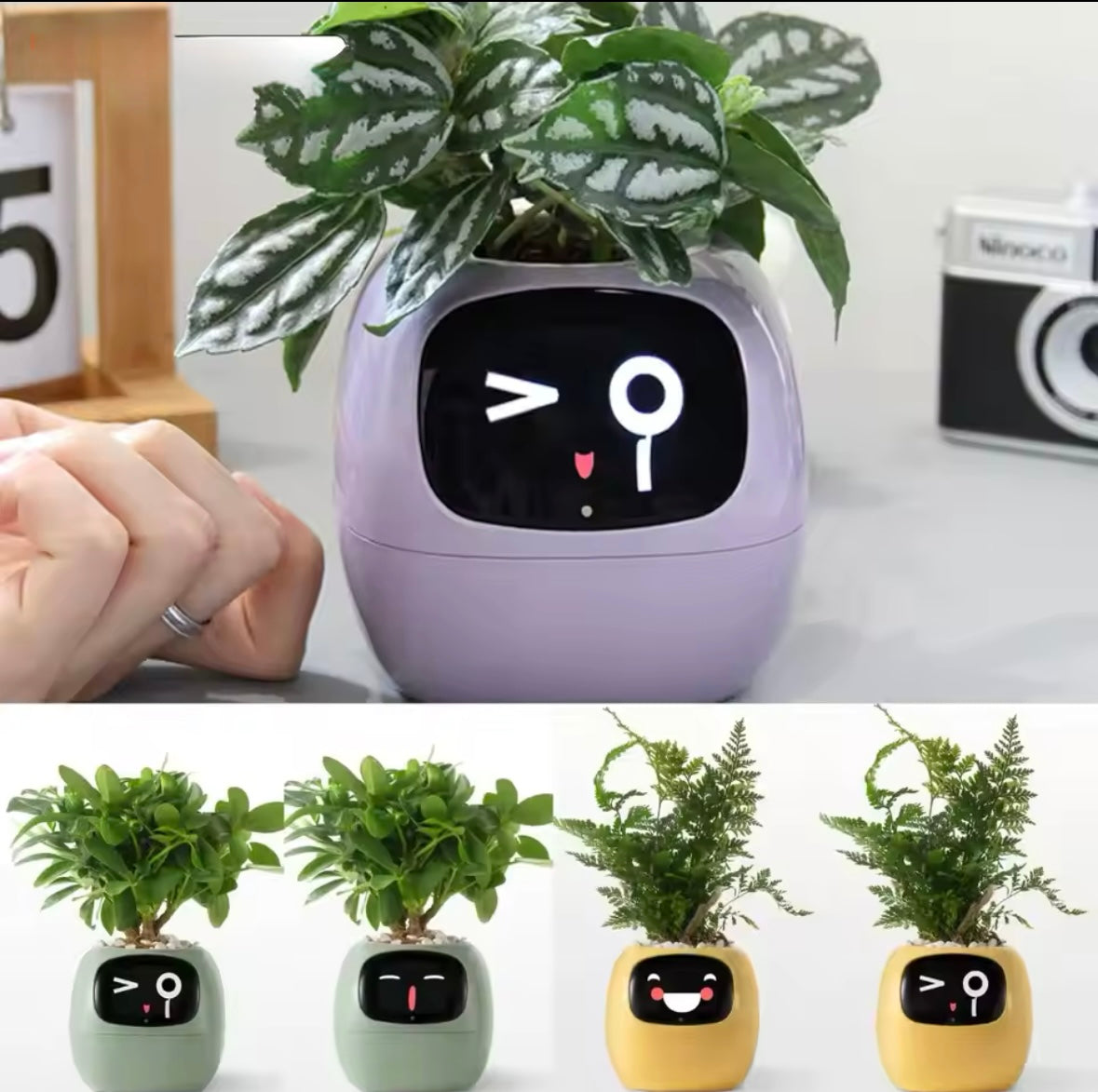 PLANTPAL- AI Enhanced Smart Planter.