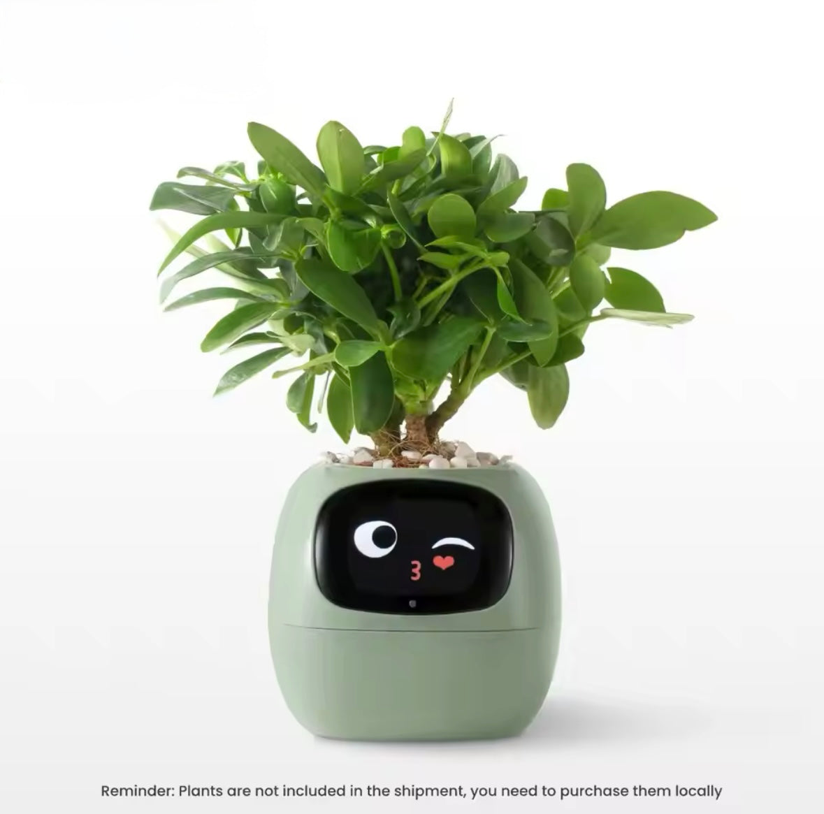 PLANTPAL- AI Enhanced Smart Planter.