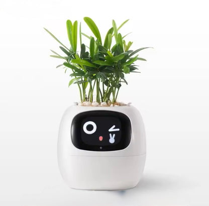 PLANTPAL- AI Enhanced Smart Planter.